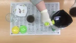 Мастер — класс о выращивании рассады для детей 6-7 лет