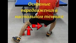Основные передвижения в настольном теннисе