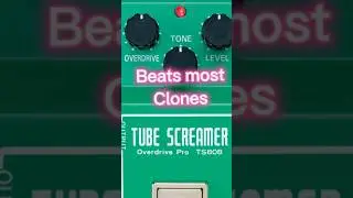 TS808 - SRV Tone 🎸✌️ #guitar #tubescreamer #stevierayvaughan #guitartone #stratocaster
