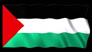 علم فلسطين للمونتاج 3 palestinianFlag 4K