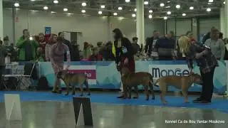 Eurasia 2019 Ca de Bou Males Yunior