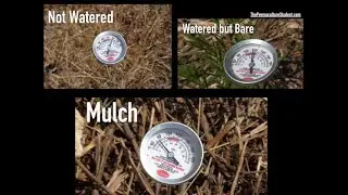 The Power of Mulch with Matt Powers The Advanced Permaculture Student Online