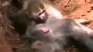 (((