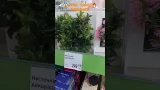 😱ФИКС ПРАЙС💥ГОРЯЧИЕ НОВИНКИ🔥2023 УЖЕ В ПРОДАЖЕ
