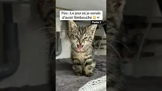 Je n’étais pas au bout des mes surprises avec Simbouche 💀 