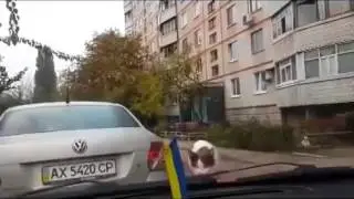 Кот атакует машину! Угар