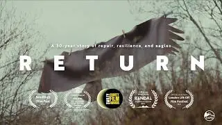 RETURN - the incredible 50-year comeback story of the White-tailed Eagle | RSPB