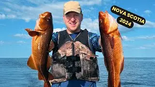 INSANE AMOUNT OF FISH! | COASTAL NOVA SCOTIA FISHING 2024