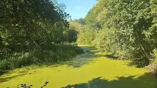 прогулка на велосипеде по сельским пляжам