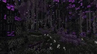 Better End MOD ambience: Shadow Forest