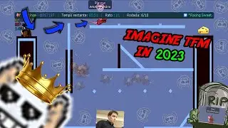 Imagine Playing Transformice In 2023