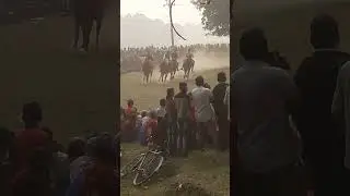 घोड़ा रेस प्रतियोगिता