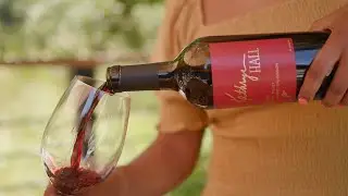 Kathryn Hall Release Video 2023