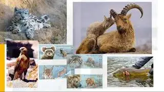 Моя Родина - Кыргызстан 5 класс