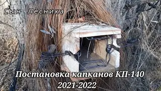Заряжаю путик капканами. Постановка капканов КП-140