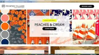 Browse Prints and Patterns