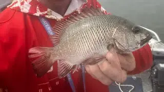 Newport Fishing Session #2