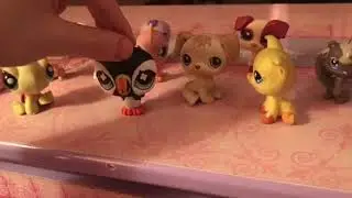 Lps: America’s Next Millionaire Episode 1: Welcome To The Show