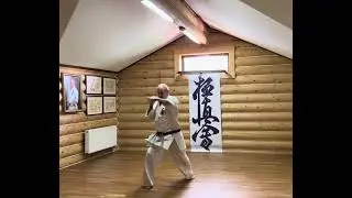 #karate #kyokushin #martialarts #iko #kww #yakunin #hanshi
