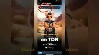 hamster Kombat request error 