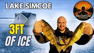 Jumbo Perch on Lake Simcoe in -23C - 3 Feet of Ice and Gear Started Failing