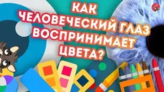 Как ЧЕЛОВЕЧЕСКИЙ ГЛАЗ  воспринимает цвета?
