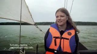 Ąžuolinės burės!