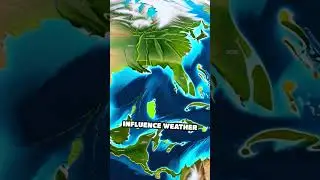 Whispers of the Wind Unveiled