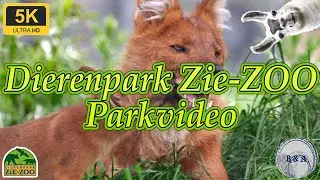Dierenpark Zie-ZOO 2024 Parkvideo 5K