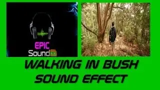 Walking in bush sound effect - bushwalking EPICsoundFX