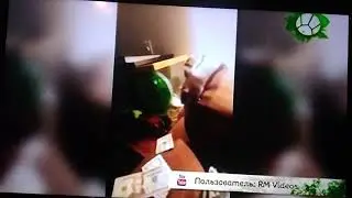 Звериный репортёр крыса деньги