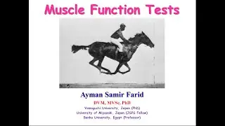 Dr. Ayman Samir (Muscle Function Tests)(Lecture 3/Part 2)