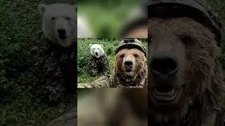 #сво