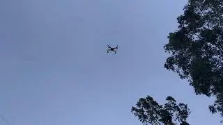 CC3D Quadcopter  Smooth Test | FSi6 | A2212 l Dji F450 Drone
