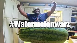 Growing the WORLD'S BIGGEST WATERMELON in our backyard! | #watermelonwarz