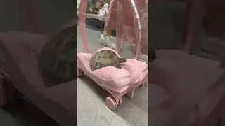 This does what!? 