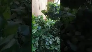 #поиск