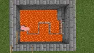 Pig IQ test