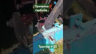 Прополка гарбузів #трактор #т25