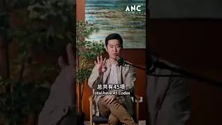 ⚓ Z府怎样用电子发票 e-invoice 追踪个人开销。开单要记类别代码？ Classification Code ?#ancgroup #songliew #einvoice #lhdn #tax