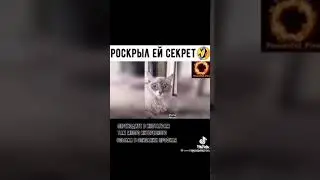 я давно хотел тебе сказать что Ти кошка😂😂🤣🤣😂🤣😂🤣🤣🤣🤣