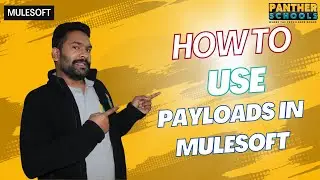 EP8 - What is payload and how to use them in @mulesoftvids with @sfdcpanther #mulesoft #integration