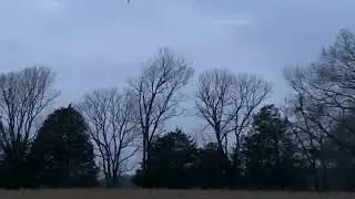 Find calm in a gloomy day