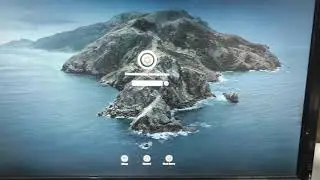 Try to install GTX970 on Mac Pro 3,1 Catalina from dosdude1, still glitches.