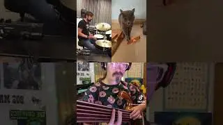 Singing Cat Waltz