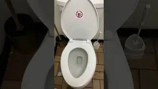 Is this necessary in a public restroom? #diving #swimming