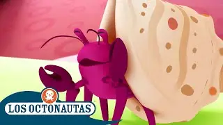Los Octonautas - El cangrejo ermitaño 🦀🐚 | Episodios Completos