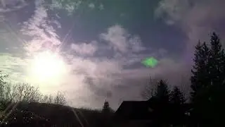 Стихотворение Владимира Шельске 