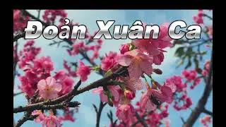 Đoản Xuân Ca