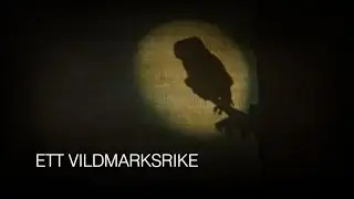 Ett vildmarksrike